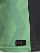 AS Saint-Étienne Third 2026/27